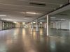 ca. 8 780 m² Halle EG, ca. 610 m² Mezzanine OG, ca. 966 m² Büro/Sozial - Innenansicht
