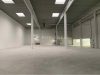derz. 6.500 m² Halle + Büros - Objektansicht