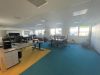 Solitär Bürohaus zwischen Messe und Flughafen mit eigenem Dachgarten - Büroflächenbeispiel