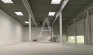 NEUBAU-GEWERBEPARK | RAMPE + EBENERDIG | MODERN UND REPRÄSENTATIV | 7,50 M UKB - Objekt-Bild