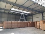 REPRÄSENTATIVE NEUBAUHALLEN | EBENERDIG | MODERN | AB SOFORT - Innenansicht Beispiel