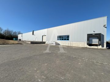 LAGERHALLE & PRODUKTIONSHALLE | MIETE | EBENERDIG & RAMPETOR | 6,50 M UKB | BEZUG ZEITNAH, 53773 Hennef, Halle/Lager/Produktion