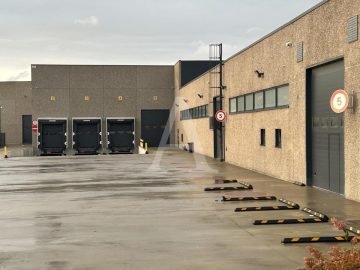 LOGISTIKFLÄCHEN AB 2.500 m² – 12.000 m² | 12 M UKB | RAMPE + EBENERDIG | BEHEIZBAR | FREIFLÄCHEN, 50996 Köln, Halle/Lager/Produktion
